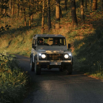 White off-road vehicle drives through a scenic forest road at sunset.